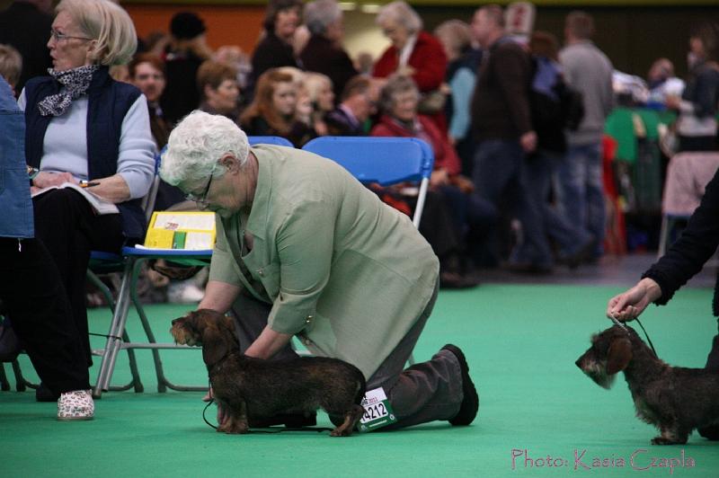 Crufts2011_2 715.jpg